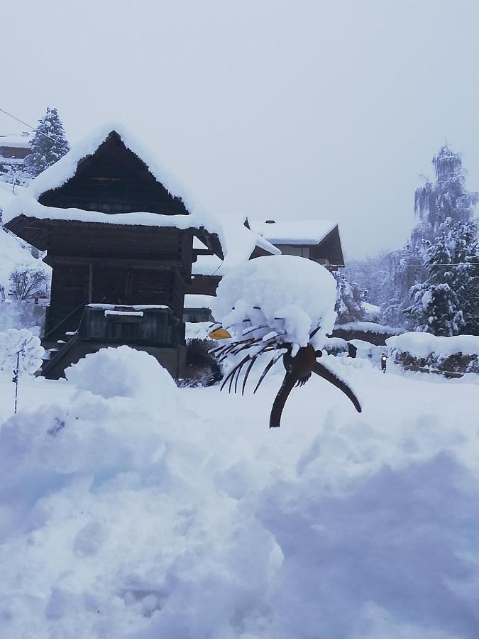 Simonbauerhof Villa Bad Kleinkirchheim Ngoại thất bức ảnh